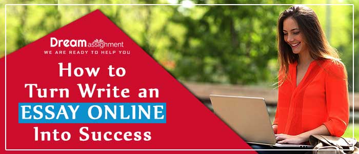 write an essay online