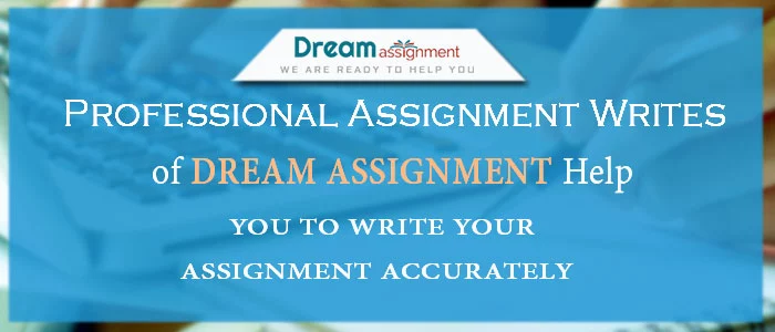 Professional Assignment Writers