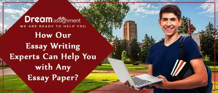 essay writing experts