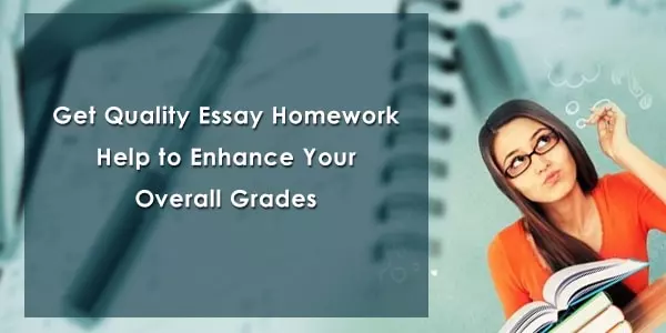 essay writing homework help
