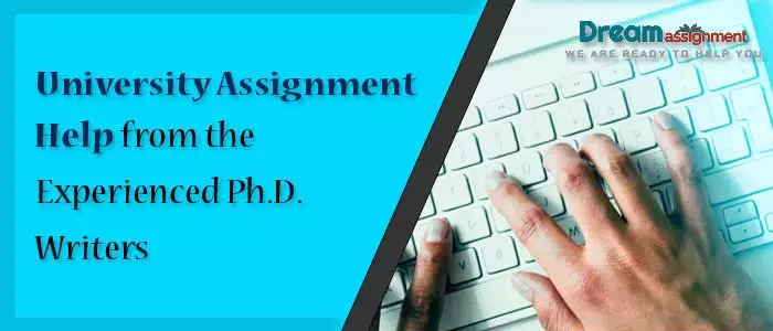 university assignment help