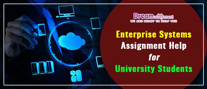 enterprise systems assignment help