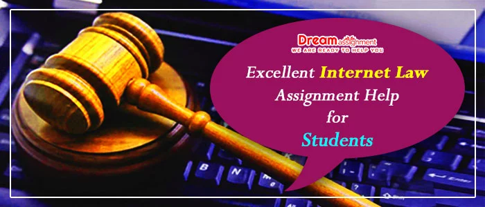 internet law assignment help