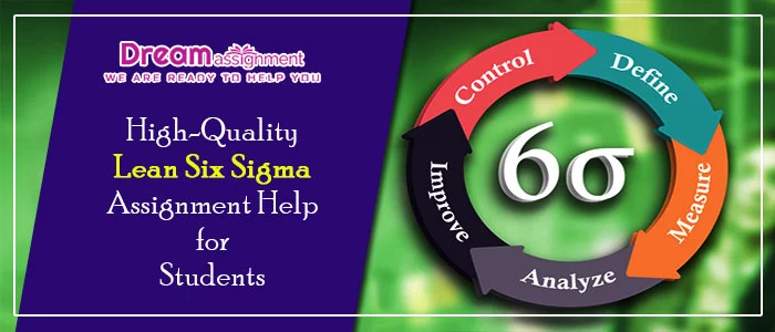 lean six sigma assignment help