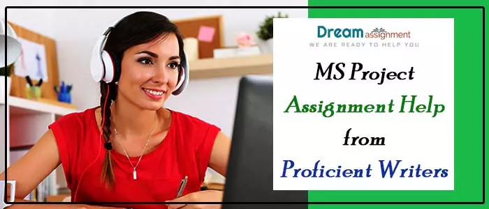 ms project assignment help