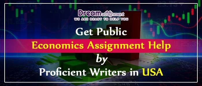 public economics assignment help