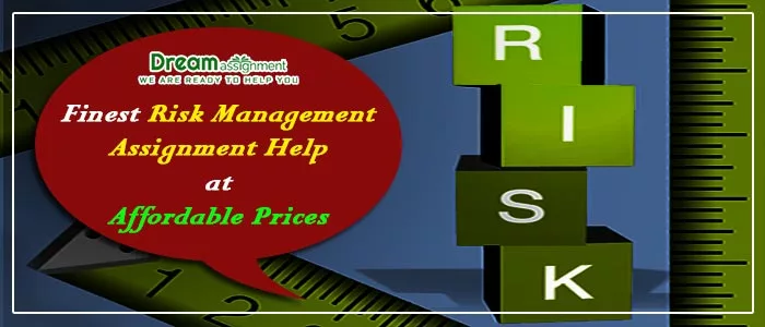 risk management assignment help