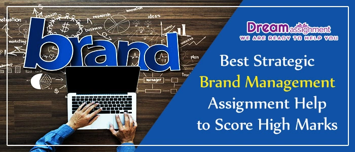 strategic brand management assignment help