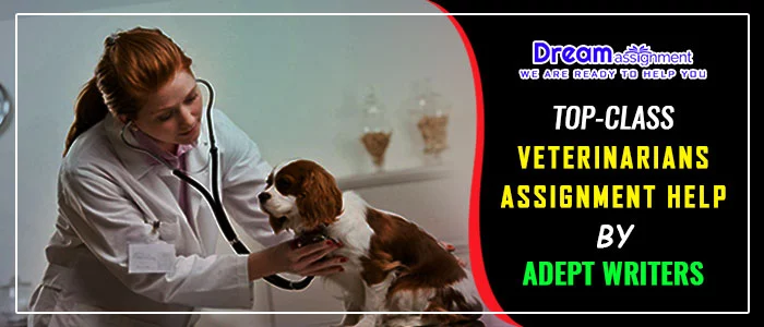 veterinarians assignment help